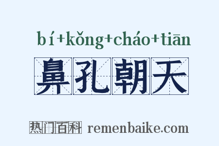 鼻孔朝天是什么意思的图片